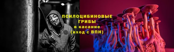 мет Арсеньев